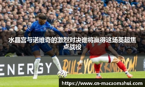 水晶宫与诺维奇的激烈对决谁将赢得这场英超焦点战役