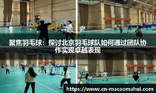 聚焦羽毛球：探讨北京羽毛球队如何通过团队协作实现卓越表现