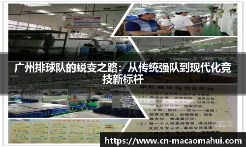 广州排球队的蜕变之路:从传统强队到现代化竞技新标杆